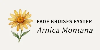 Arnica Montana - Fade Bruises Faster